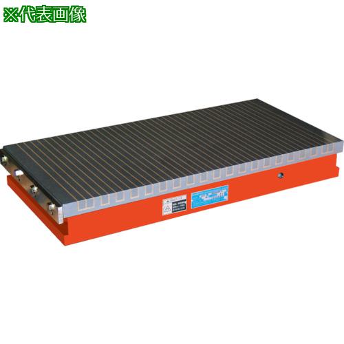 ■KANETEC 強力型永電磁チャック〔品番:EPTH2050F〕【8573230:0】[法人・事業所限定][外直送元][店頭受取不可]