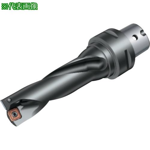 ■SANDVIK 刃先交換式ドリル スーパーUドリル(465)〔品番:880D3600C603〕【8579643:0】[送料別途見積り][法人・事業所限定][店頭受取不可]｜ホームセンターバロー　店