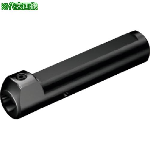■SANDVIK 円筒平取り付きシャンク コロターンXSアダプタ(425)〔品番:CXSA062507〕【8580230:0】[送料別途見積り][掲外取寄][店頭受取不可]