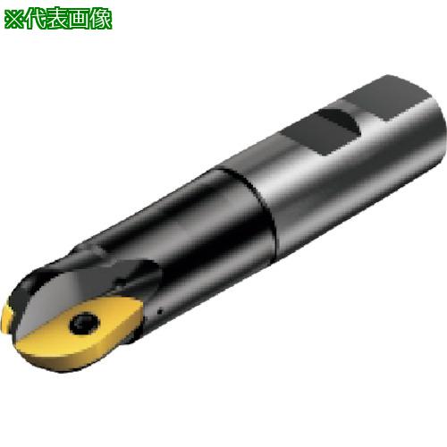 ■SANDVIK コロミル216 ボールエンドミル(440)〔品番:R21625M25089〕【8580383:0】[送料別途見積り][掲外取寄][店頭受取不可]