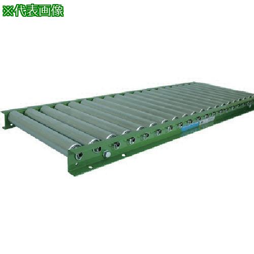 ■TS スチールローラコンベヤφ38.1-W600XP100X1000L〔品番:S38601010〕【8582022:0】[送料別途見積り][法人・事業所限定][直送][店頭受取不可]