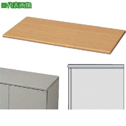 ■NAIKI 収納庫 NW型 天板(片面)W900×D450用〔品番:NW900STPLB〕【8685920:0】[送料別途見積り][掲外取寄][店頭受取不可]