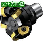 ■SANDVIK コロミル745 カッター(450)〔品番:725063C621H〕【8689429:0】[送料別途見積り][掲外取寄][店頭受取不可]