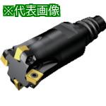 ■SANDVIK コロミルCoroMill[[R上]]415 正面フライスカッター(450)〔品番:A41519EH2005M〕【8689576:0】[送料別途見積り][掲外取寄][店頭受取不可]｜ホームセンターバロー　店