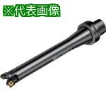 ■SANDVIK コロボアBR20サイレントツール カッティングユニット(530)〔品番:BR20D116CC12FC8S〕【8689653:0】[送料別途見積り][掲外取寄][店頭受取不可]｜ホームセンターバロー　店