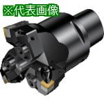 ■SANDVIK コロボアBR30 カッティングユニット(530)〔品番:BR30191SN15YC8〕【8689704:0】[送料別途見積り][法人・事業所限定][掲外取寄][店頭受取不可]