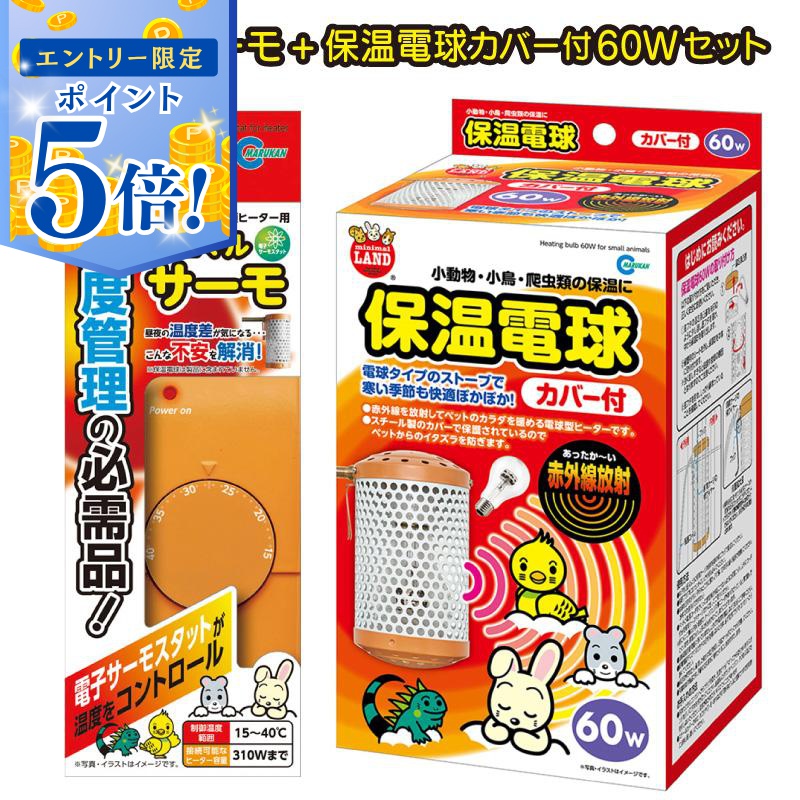 夏の車内気温こみ上げるを防ぐ！最新科学技術を積み上げるした Radi-Cool 傘式日がさ