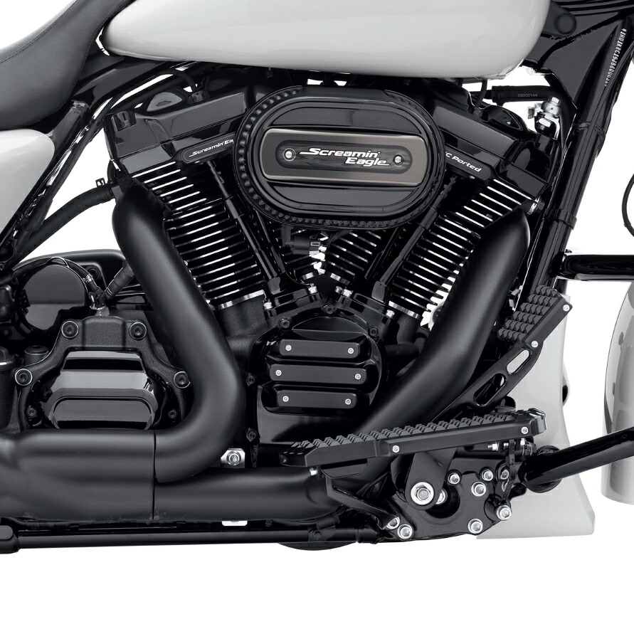 【純正】M8 Touring、Trike用 エンジンハードウェアフルキット グロスブラック 12600251 53,603円