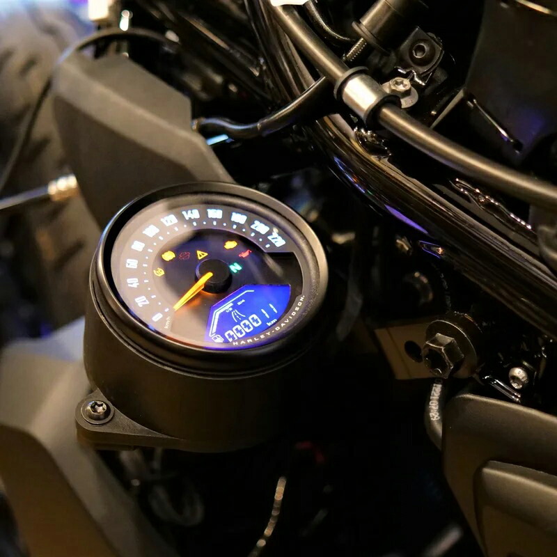 西日本産 ハーレーダビッドソン スポーツスターS RH1250Sカーボン調