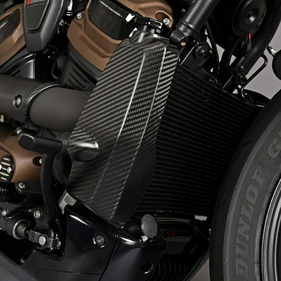 スポーツスターS ドライカーボン ラジエターサイドカバー (綾織/艶消し) SPEEDRA　CHD0102TM