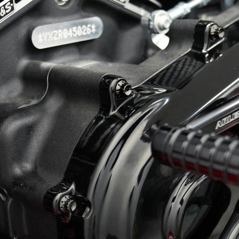 Arlenness（アレンネス） チタン 12ポイント プライマリーカバー ボルトキット ブラック M8 ツーリング