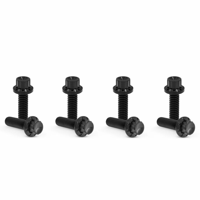 Arlenness（アレンネス） チタン 12ポイント リフターブロック ボルトキット ブラック ツーリング、ソフテイル、ダイナ