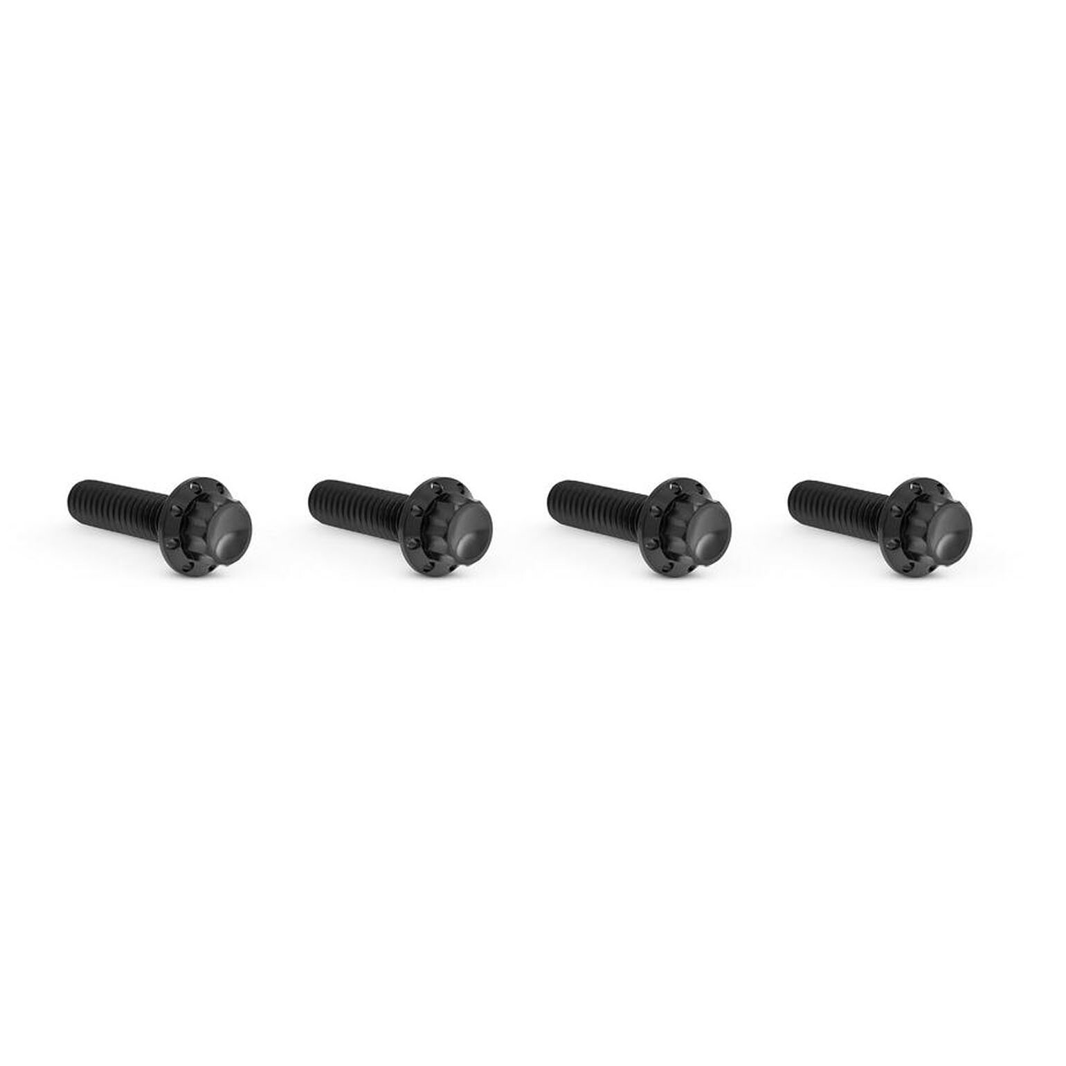 Arlenness（アレンネス） チタン 12ポイント トランスミッショントップカバー ボルトキット ブラック ツーリング、ソフテイル、ダイナ｜ワールドモーターライフ