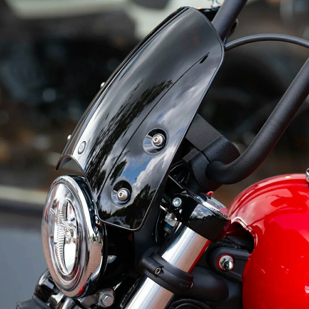 ダイナ ローライダー FXDL 39フォーク用 クラシックS3・フライスクリーン (ブラック) DART　FXDL53M-39