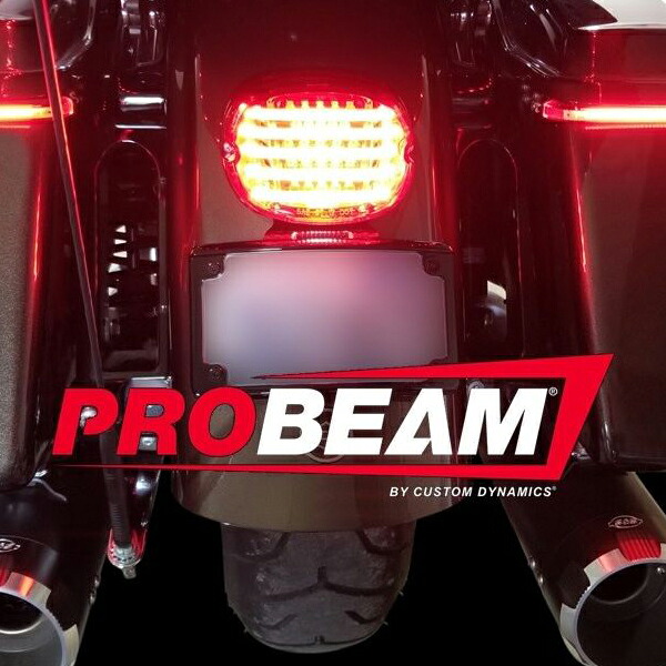 【Custom Dynamics】PROBEAM ロープロファイル・LEDテールライト 下ナンバー用 スモーク 2010-1409