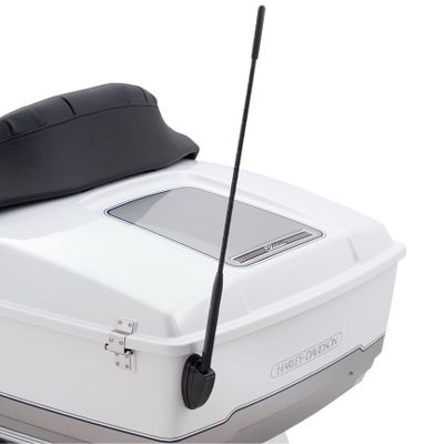 【純正】ロードテック ショーティAM・FMアンテナ