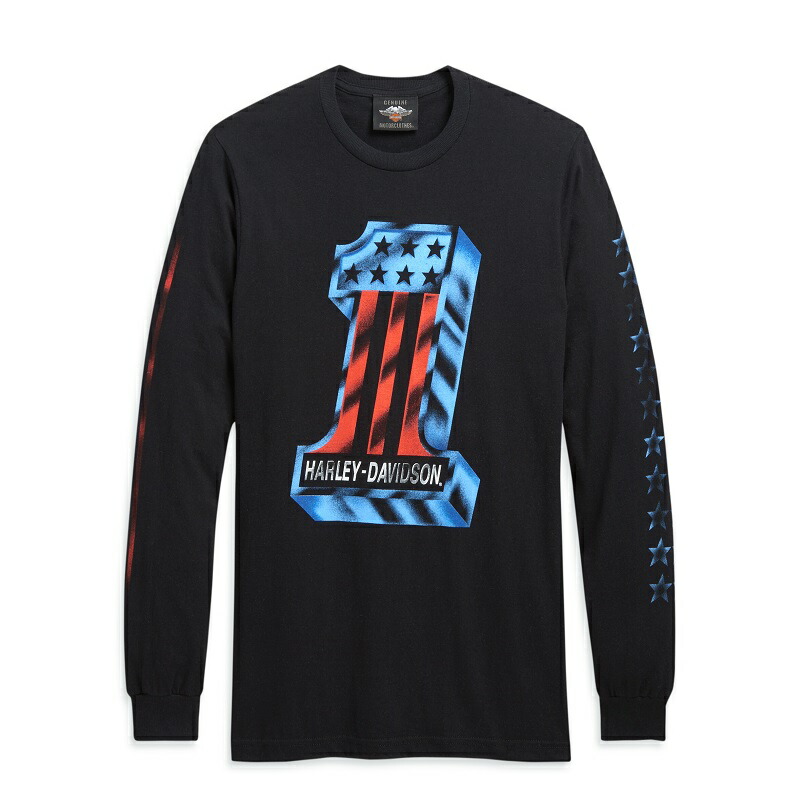 ハーレーダビッドソン バーズ&スターズ ロングスリーブ Tシャツ_96545-20VX