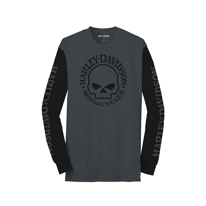 ハーレーダビッドソン メンズウィリーG カラーブロックTシャツ_99066-22VM