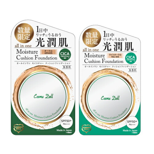cica-cshinfnd.jpg