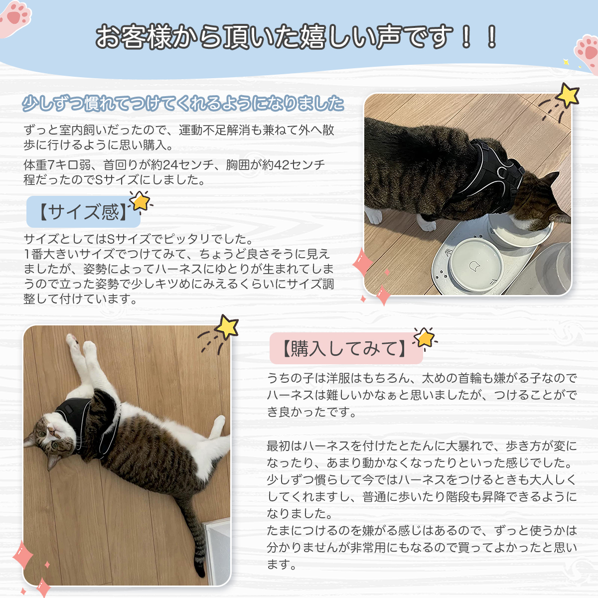 猫用 ハーネス 胴輪 猫具 ねこ ネコ 小型犬 サイズ調節可 M ブラック