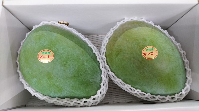 販売真中 毎週金曜日送り付ける 沖縄県作る キーツマンゴー2kg 緑色の珠 石崎さんのキーツマンゴー 低下農薬 有機不思議作出す Mattschofield Com