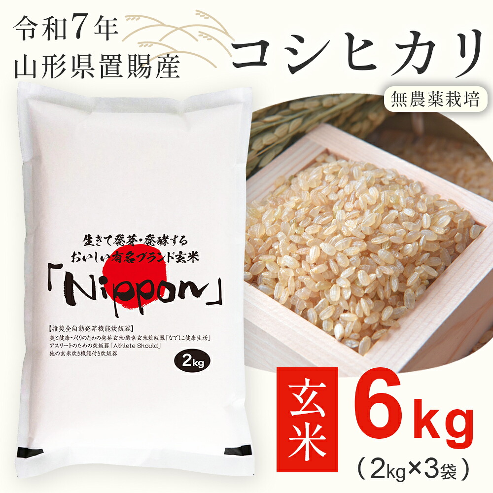 玄米 6kg (2kg×3袋) 無農薬栽培 【令和7年産】 山形県産 コシヒカリ 低温乾燥玄米