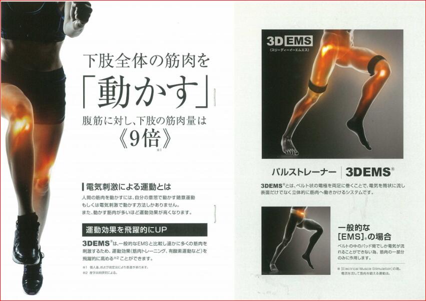 楽天限定公式 パルストレーナー www.doctorfit.com.br