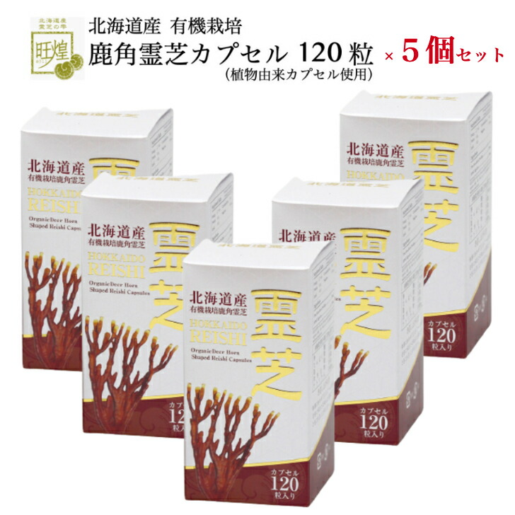 市場 霊芝サプリ 北海道産 誕生日 ×５個 鹿角霊芝カプセル120粒 レイシ サプリメント 健康管理