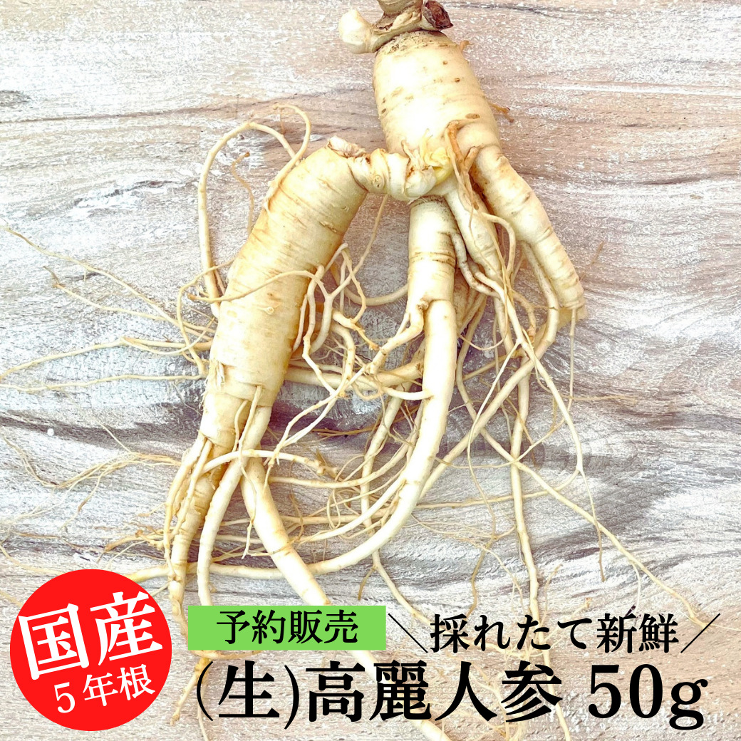 天然物 40年 高麗人参 朝鮮人参 長白山人参 楽天市場】[輸入元直販/現品] 長白山白人参 6年根 500g (高等級