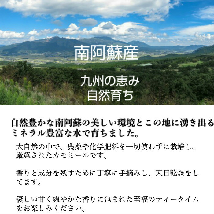 入荷しました 21年収穫 国産無農薬カモミールティー30g 送料無料 オーガニック 有機 無化学肥料 日本産 熊本 カモミールジャーマン ノンカフェイン Giosenglish Com