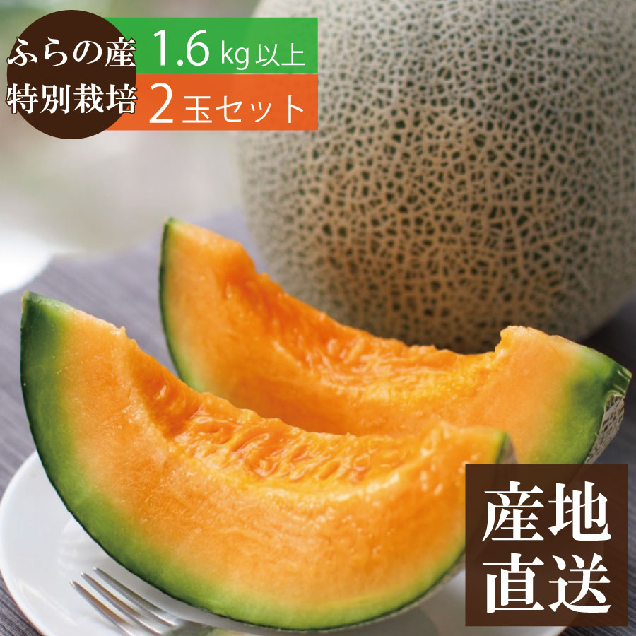 【予約商品】北海道 富良野 山部産 赤肉メロン 2玉セット （1.6kg以上×2個） 糖度センサー選果 【糖度16度以上】 天間農産 特別栽培農産物 送料無料 富良野メロン フルーツ 果物<br>◆出荷予定:7月1日～7月22日