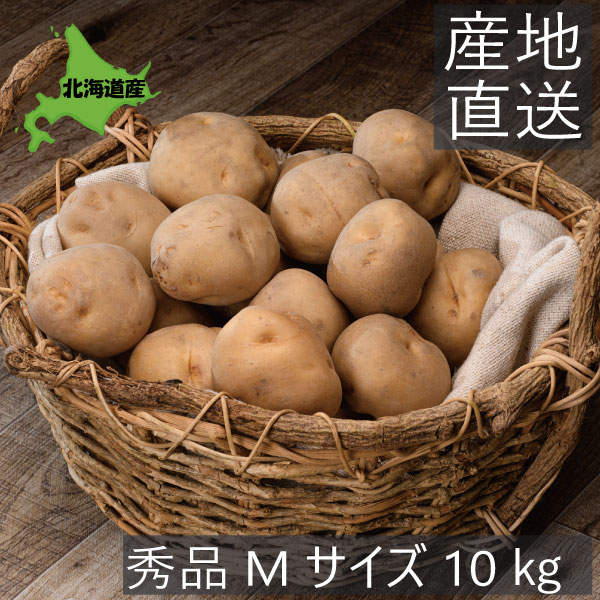 楽天市場】＼売り尽くし／じゃがいも 種芋 10kg 送料無料 マツコの知ら