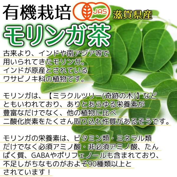 【楽天市場】滋賀県産 有機モリンガ茶 2g×30包 オーガニック 国産 メール便 送料無料 新発売 注目商品