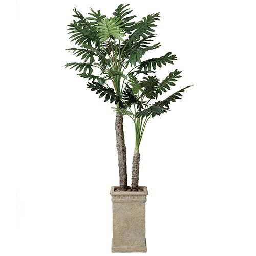 高さ 0cmがお得 光触媒 観葉植物 造花 光の楽園 年版 アートクリエイション 店 ポイント10倍 造花 光触媒 観葉植物 ヘルシーグッド 品番 415g6 セロームw 花 観葉植物 高さ 0cm セロームw 送料無料 光の楽園 年版 品番 415g6