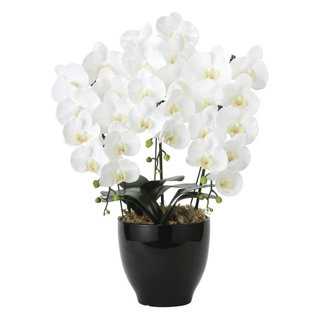 【月間目覚ましい販売店】勝ちえるの張り出し 造花・人工観葉植物-造花-花・ガーデン・DIY