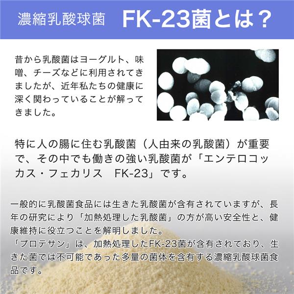 FK-23菌） - ニチニチ製薬 [乳酸菌] サプリメント | dermascope.com