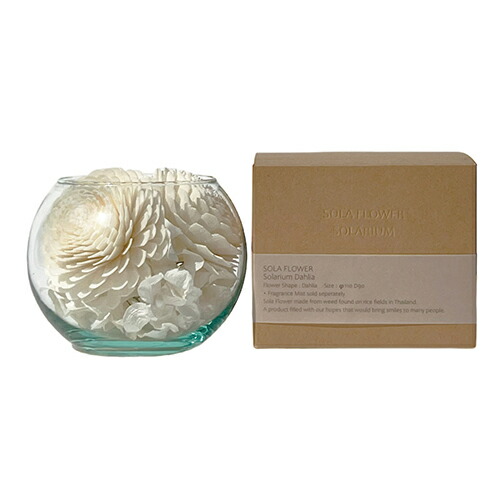 Sola Flower ソラフラワー ソラリウム ダリア - 三和トレーディング画像