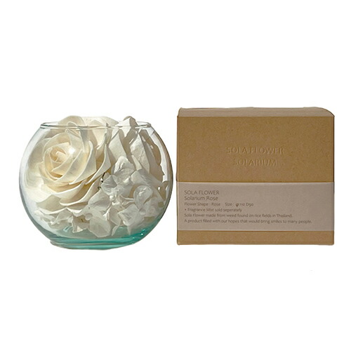 Sola Flower ソラフラワー ソラリウム ローズ - 三和トレーディング画像