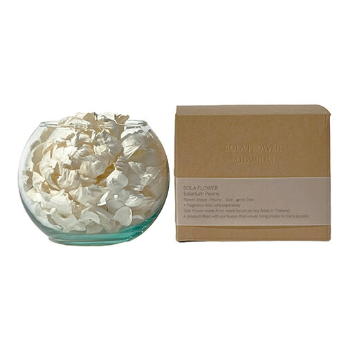 Sola Flower ソラフラワー ソラリウム ピオニー - 三和トレーディング画像
