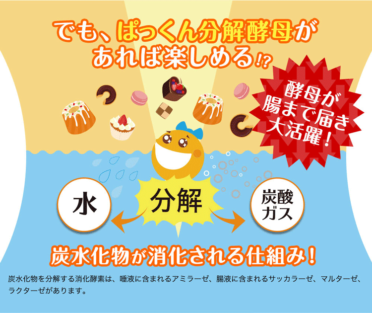 おトク ＼500ml除菌ジェルプレゼント中 50個set ぱっくん分解酵母 120粒 4562189170777 SVELTY スベルティ TVで人気  TVCM 炭水化物 糖質に サプリメント ダイエット 健康食品 パックン すべるてぃ キトサン 白いんげん豆 サラシア 送料無料  whitesforracialequity.org