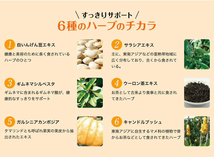 おトク ＼500ml除菌ジェルプレゼント中 50個set ぱっくん分解酵母 120粒 4562189170777 SVELTY スベルティ TVで人気  TVCM 炭水化物 糖質に サプリメント ダイエット 健康食品 パックン すべるてぃ キトサン 白いんげん豆 サラシア 送料無料  whitesforracialequity.org