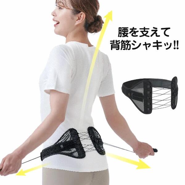 楽天市場】Dr.PROグイッと伸びる背筋ベルト Dr.PRO グイッと 伸びる