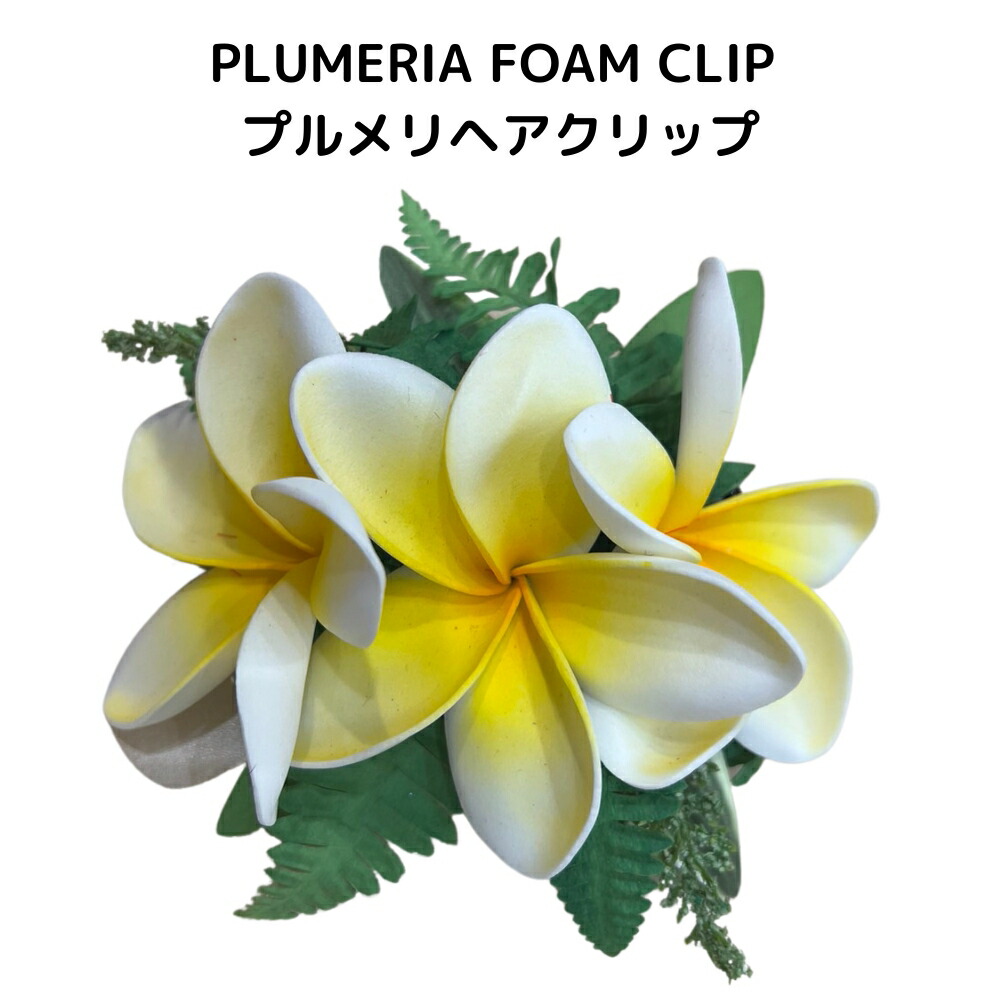 海外ブランド通販 公式サイト 楽天市場】CARNATION REI ダンス用 赤 レイ カーネーション フラダンス