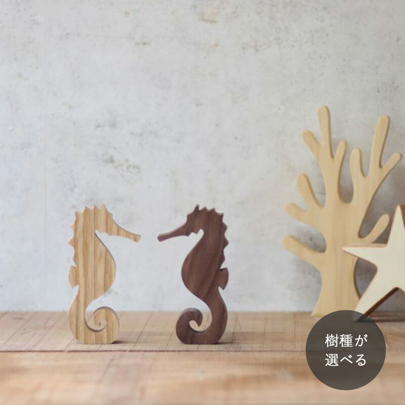 楽天市場】シェル デコレーション レリーフ タツノオトシゴ 壁掛け