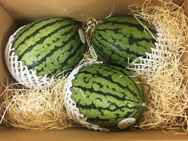 楽天市場 無肥料 自然栽培 小玉スイカ 有機栽培でもなく 無肥料無農薬 自然栽培 重さ2kgが3個 無肥料 自然栽培野菜宅配のハート