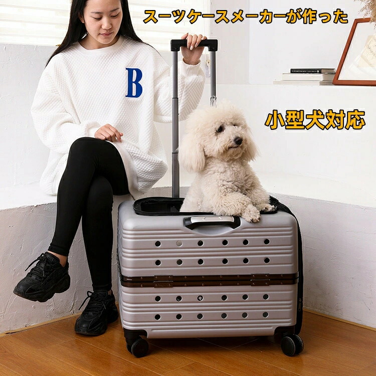 「冬のぬくもり特集｜レディース アウター・マフラー・グローブ・シューズ寄せ合わせ」