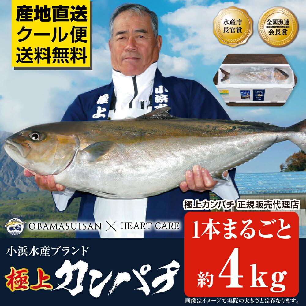 ＼満天☆青空レストランでご紹介／ 極上カンパチ 小浜水産 1本丸ごと 約4kg カンパチ 鹿児島県産 冷蔵 鹿児島 特産 新鮮 お取り寄せ 取寄 直送 [軽減税率]【返品不可】