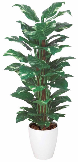 消臭 抗菌効果のある 光触媒 V Cat を使用 187b0 43 グッズ花 ガーデン Diy ポトス1 2m 187b0 43 フェイクグリーン ギフト 観葉植物 造花 直送品 代引き不可 人工 人工観葉 光触媒 人工観葉植物 ギフト 新築祝い 開店祝い 引越し祝い グッズ ハートドロップ