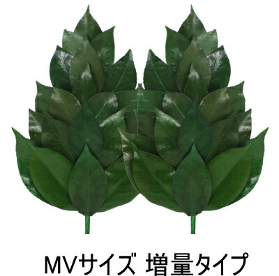 コアフォース（COREFORCE）