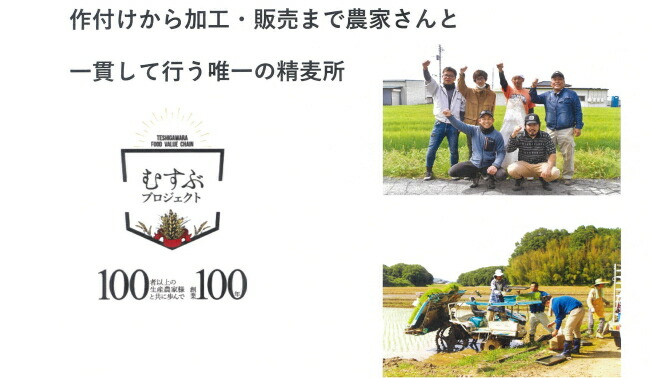 市場 栃木県産もち麦 もち麦ご飯 日本製 もち絹香 もち麦ごはん 国産 500g×10個セット もちむぎ 国産もち麦 もち麦 ダイエット